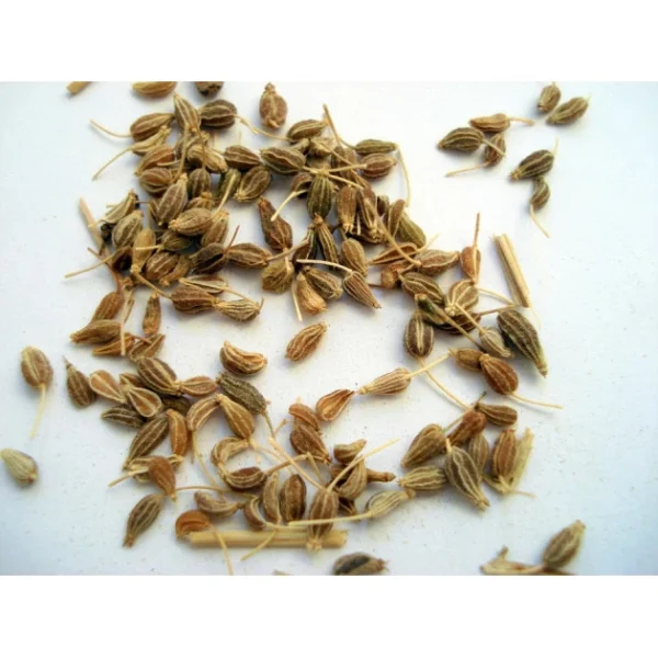 Anis Vert En Grains 38 G Le Comptoir Colonial 3