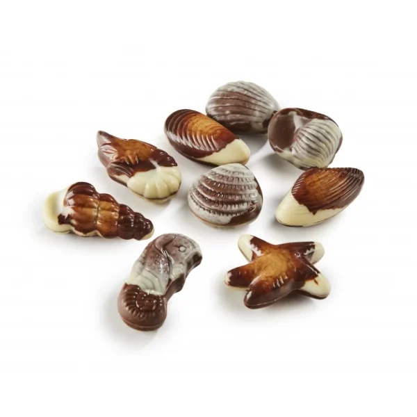 Boîte de Chocolat Fruits de Mer 3,5 kg Chocolaterie Ickx 1