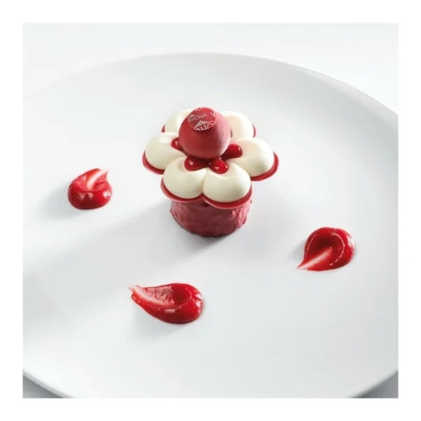 Chocolat De Couverture Inspiration Fraise 250g Valrhona 3