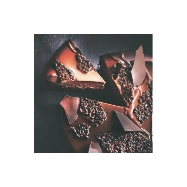 Chocolat De Couverture Noir Caraïbes 66% 250g Valrhona 4
