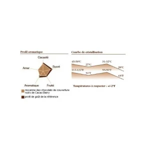 Barry Chocolat Favorites Mi-amère 58% Pistoles 5 Kg 7