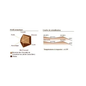 Barry Chocolat Lait Origine Ghana 40,5% 1 Kg 7