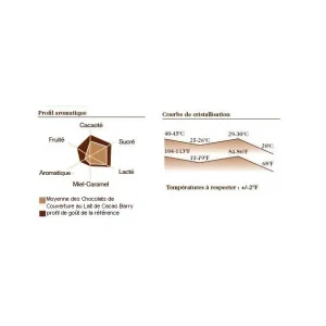 Barry Chocolat Lait Origine Papouasie 35,7% 1 Kg 7