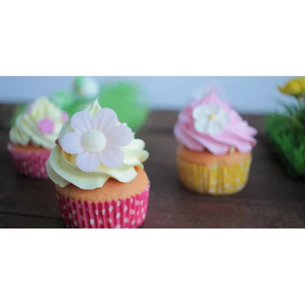 Color’Arôme Jaune / Citron 10g Scrapcooking 3