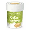 Color’Arôme Vert / Pistache 10g Scrapcooking 10