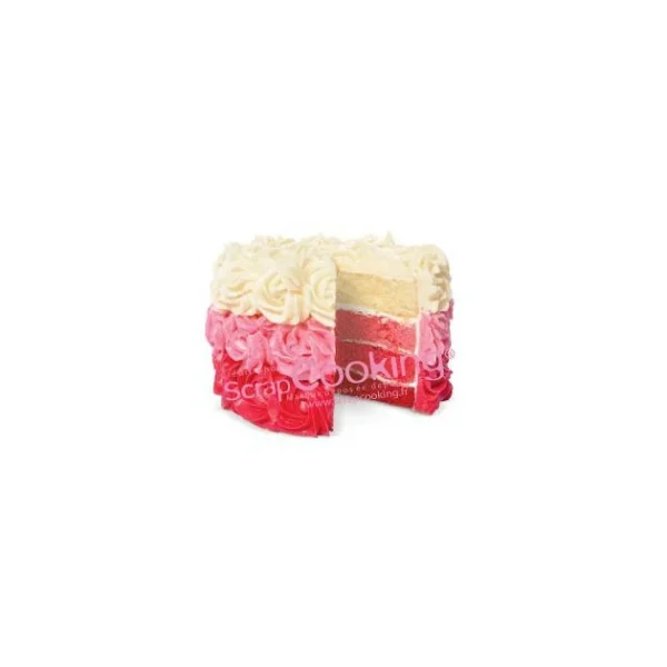 Colorant Alimentaire En Poudre Rouge 5g Scrapcooking 3