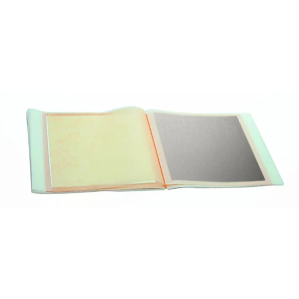 MALLARD FERRIERE Feuilles D’Argent Carnet X25 1