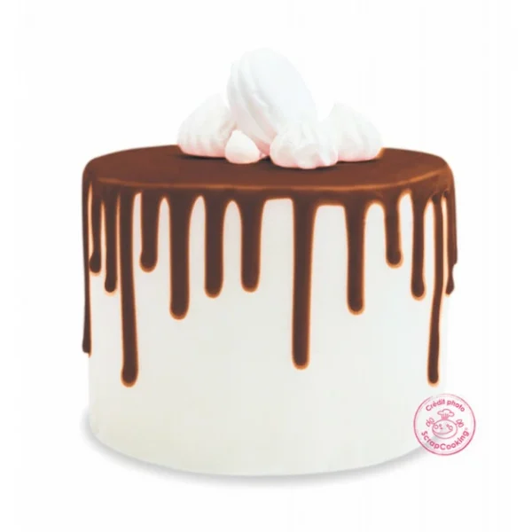 Glaçage Marron Goût Chocolat 130 G Scrapcooking 3