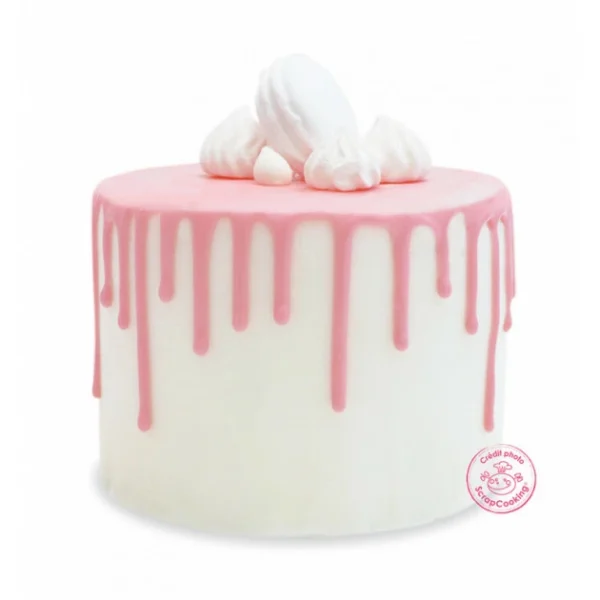 Glaçage Rose goût Chocolat 130 g Scrapcooking 3