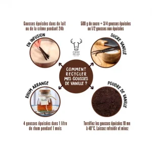 Gousse de Vanille de Nouvelle Calédonie Patisdécor (x2) 6