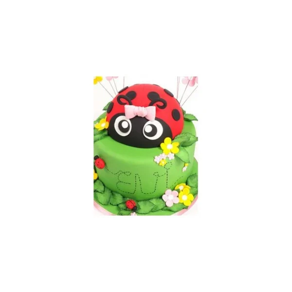 Poudre Comestible Vert Plante 1,5 G FunCakes 5