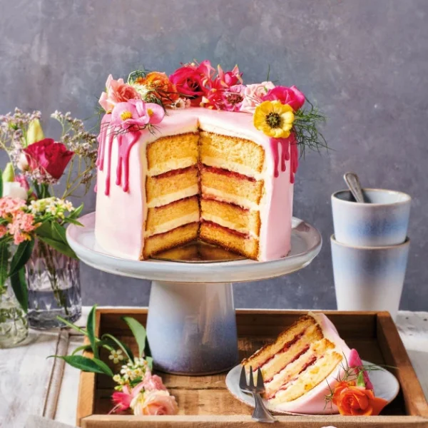 Préparation Pour Génoise 500g Funcakes 3